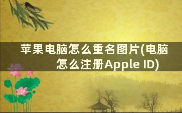 苹果电脑怎么重名图片(电脑怎么注册Apple ID)